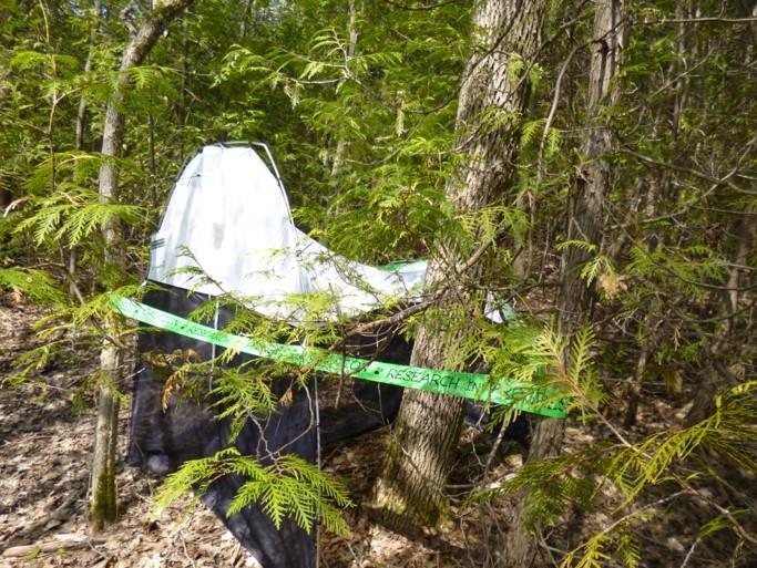 HOLLAND LANDING PRAIRIE PROVINCIAL PARK One Malaise trap was deployed at Holland Landing Prairie Provincial Park in 2014 (44.11894, -79.48795, 271m ASL; Figure 1).