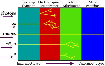 2.2. LHC EXPERIMENTS 39 is the Electromagnetic Calorimeter, where electrons and photons lay almost all their energy.