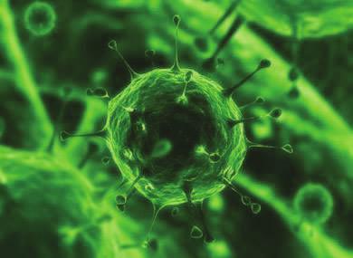 g. Intruder detection, disease control) Classifying (e.g. Credit risk assessment, diagnosis) Ranking (e.
