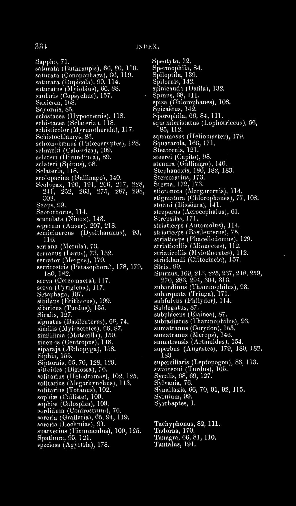 scliraiiln (Calospiza), 109. Sflateii ( llinindiik a), 89. sclateri (S]iinus), 68. Sclateria, 118. sco'opacina (Gallinaco^ 140. Scol)pax, 190, 191,' 2C6, 217, 228, 241, 252, 263, 275, 287, 298, 03.