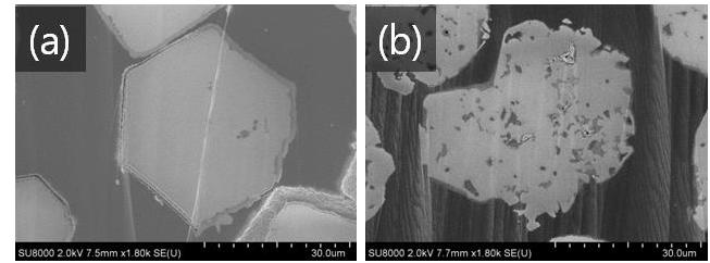 Chapter 2 Low Temperature Growth of Garnet-Type Li5La3Ta2O12 Crystals from LiOH Flux Figure 2.7 Sectional view of crystals prepared at (a) 500 ºC and (b) 700 ºC.