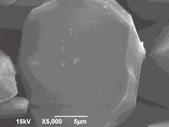 Figure 3.4 and Figure 3.5 show the SEM images of the crystals grown from each flux.