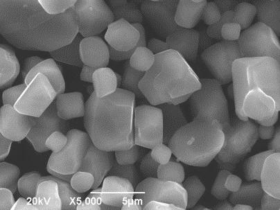 5 SEM images of β-li2tio3 crystals grown from (a, b) LiCl, (c, d) NaCl, and