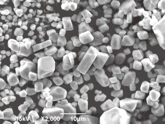 The SEM images of the crystals grown at the solute concentration of 20