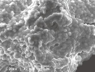 particle size of the grown β-li2tio3 crystals, which was measured with