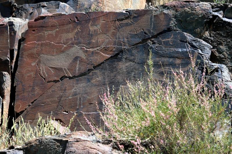 Dag 3: Almaty / Excursie Tamgaly Vandaag wordt er een bezoek gebracht aan Tamgaly, een gebied dicht bij de Ili-rivier. Deze plek staat bekend om zijn petrogliefen.