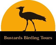 Ducks, Geese and Swans (Anatidae) White-faced Whistling Duck Fulvous Whistling Duck Spur-winged Goose Knob-billed Duck Egyptian Goose (Rare) Common Shelduck (Rare) Hartlaub's Duck African Pygmy Goose