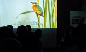 Με χρηματοδότηση από τη NABU (BirdLife Γερμανίας) και το Ίδρυμα Heinz Sielmann, δημιουργήσαμε το εκπαιδευτικό ντοκιμαντέρ Φτερά στον Άνεμο.
