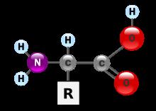 Σχήμα 8.7: Συντακτικός τύπος των α-αμινοξέων. Το R είναι μια μεγάλη ποικιλία οργανικών ομάδων ή Η στην περίπτωση της γλυκίνης.