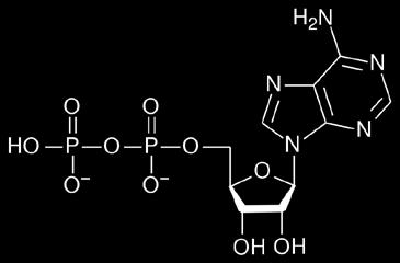 2Fe 2O 3(s) + 6CO(g) 4Fe(s) + 6CO 2(g) ΔG o = -56 kj Το καθαρό αποτέλεσμα είναι η αναγωγή του οξειδίου του σιδήρου (ΙΙΙ) προς μεταλλικό σίδηρο από την αντίδραση του οξειδίου με μονοξείδιο του άνθρακα