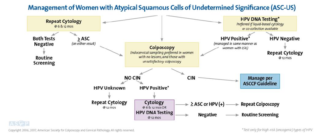 These calculations are based on local Danish costs for hc2 and PreTect HPV-Proofer.