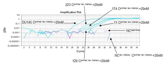επιληψία και για την κυτταρική σειρά DU145. Επισημαίνονται με βέλη οι συγκεντρώσεις των RT εκκινητών, καθώς και τα control δείγματα που χρησιμοποιήθηκαν. Εικόνα 51.