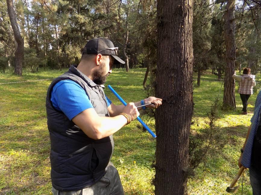 Περιεχόμενο πρακτικής άσκησης: (επιλογή ενός ή περισσοτέρων θεματικών πεδίων) Τα φυσικά χαρακτηριστικά του ξύλου, μέτρηση της ηλικίας των δέντρων σε δείγματα στο εργαστήριο στο Κέντρο Περιβαλλοντικής
