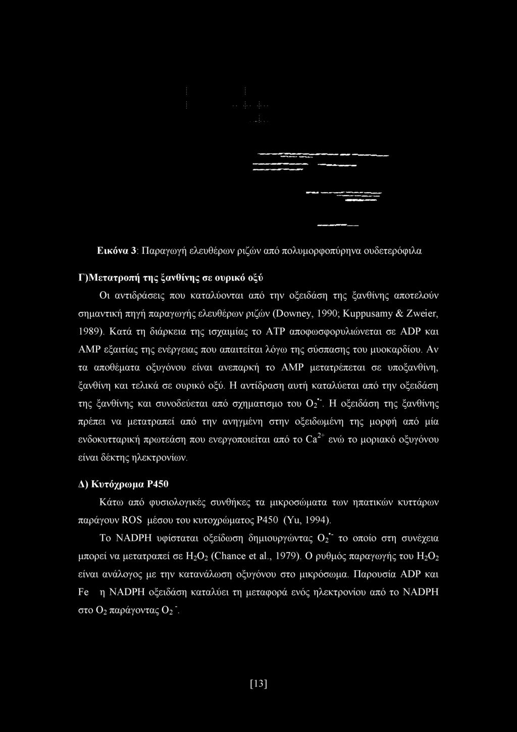 Κατά τη διάρκεια της ισχαιμίας το ATP αποφωσφορυλιώνεται σε ADP και AMP εξαιτίας της ενέργειας που απαιτείται λόγω της σύσπασης του μυοκαρδίου.