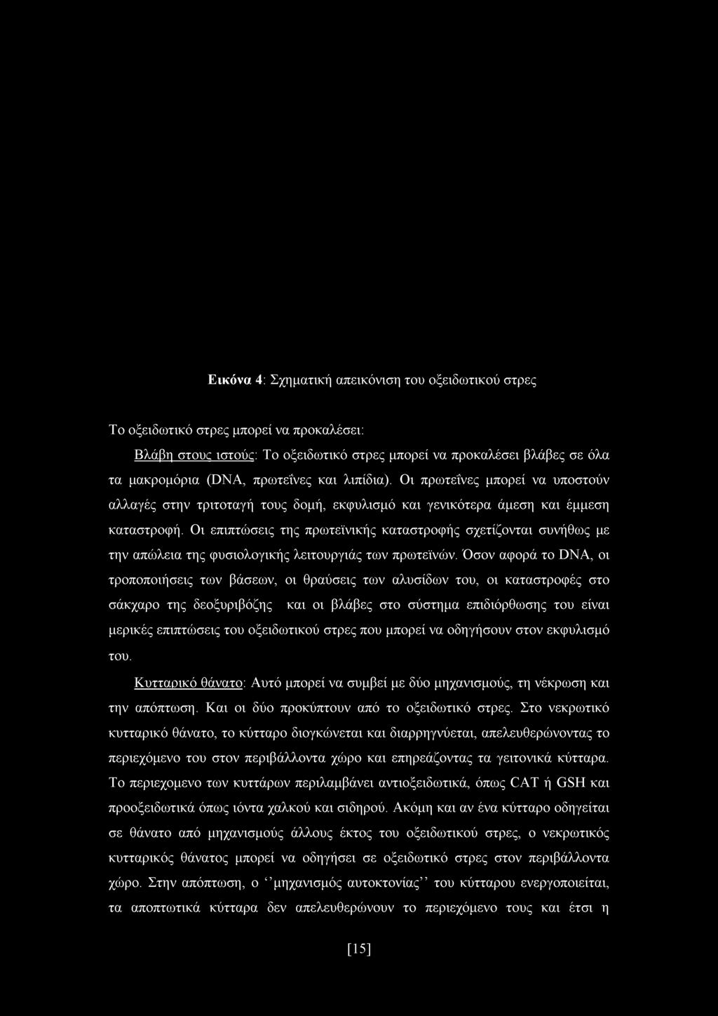 Εικόνα 4: Σχηματική απεικόνιση του οξειδωτικού στρες Το οξειδωτικό στρες μπορεί να προκαλέσει: Βλάβη στους ιστούς: Το οξειδωτικό στρες μπορεί να προκαλέσει βλάβες σε όλα τα μακρομόρια (DNA, πρωτεΐνες