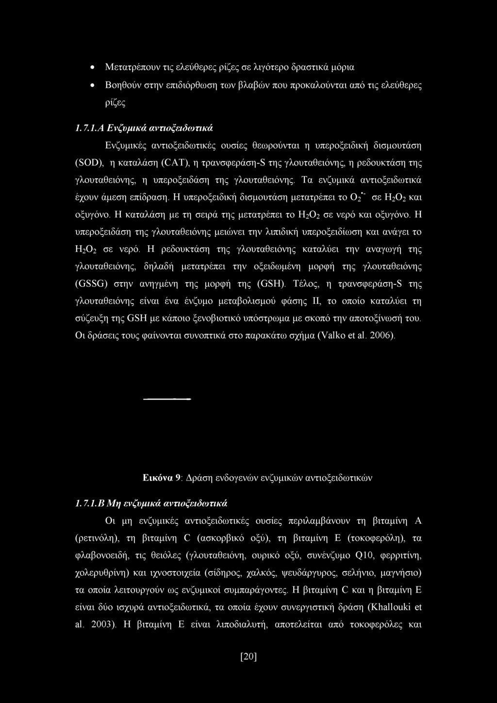 υπεροξειδάση της γλουταθειόνης. Τα ενζυμικά αντιοξειδωτικά έχουν άμεση επίδραση. Η υπεροξειδική δισμουτάση μετατρέπει το O2' σε Η20 2 και οξυγόνο.