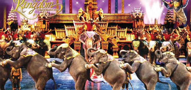 Θα μάθετε τα πάντα για τον πολιτισμό της Ταϊλάνδης με τις μαγικές ψευδαισθήσεις, 4D ειδικά εφέ, εναέρια μπαλέτο, ακροβατικά, ένα cast των εκατοντάδων, 30 ελέφαντες, πυροτεχνήματα και τα ακροβατικά σε