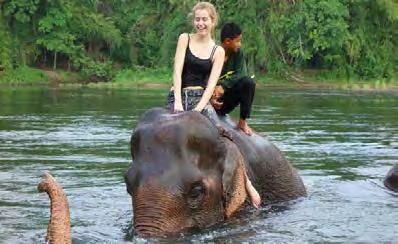 Μετά θα επισκεφτούμε την κατασκήνωση των ελεφάντων για μια βόλτα μαζί τους μέσα στην πλούσια βλάστηση της ζούγκλας.