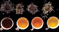 Βιολογικής καλλιέργειας. Λευκό Τσάι Oasis Λευκό τσάι με κανέλλα, φλούδες πορτοκαλιού, αμύγδαλα, λεμονόχορτο, λουλούδια πορτοκαλιού και τριαντάφυλλου.