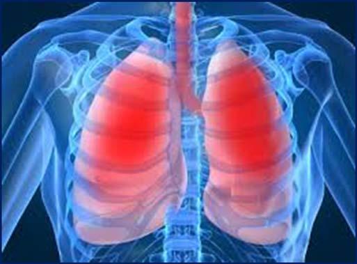 Ερεθιστικά του αναπνευστικού συστήματος