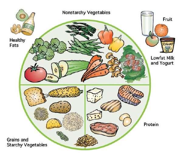 Κατανομή γευμάτων Σταθερότητα στις ώρες των γευμάτων Αριθμός των γευμάτων (3 γεύματα την ημέρα) Ελαχιστοποίηση των σνακς Γεύμα με όλη την οικογένεια Αυτοδύναμα διατροφικά γεύματα