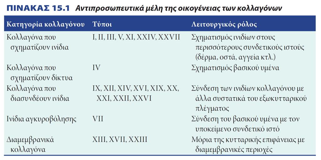 Αντιπροσωπευτικά μέλη της