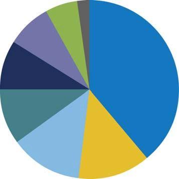 πολυνευροπάθεια 13% Πόνος των