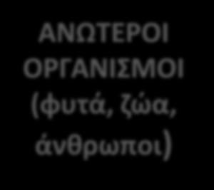 άνθρωποι)