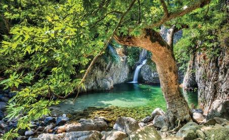 ατομικό πρόγραμμα Ακτοπλοϊκά εισιτήρια Διανυκτερεύσεις σε ξενοδοχεία όπως αυτά αναφέρονται στον τιμοκατάλογο. Πρόγευμα στον χώρο του ξενοδοχείου καθημερινά. Φόρος διαμονής. ή προτεινόμενο.
