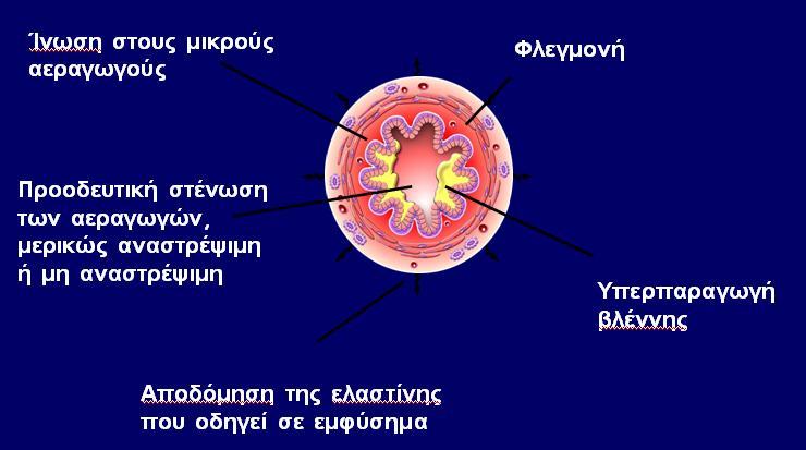 ΣΥΜΠΤΩΜΑΤΑ ΑΠΟ ΤΟ ΑΝΑΠΝΕΥΣΤΙΚΟ ΣΥΣΤΗΜΑ Δύσπνοια Διακρίνουμε τη δύσπνοια σε: Εκπνευστική Η εκπνευστική δύσπνοια χαρακτηρίζεται από παρατεταμένη και δυσχερή εκπνοή, και οφείλεται σε στένωση του αυλού