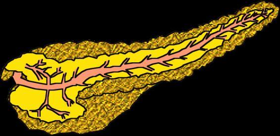 agonists incretin