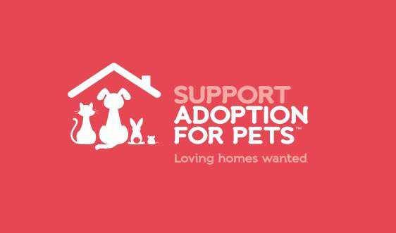 On the fourth weekend in April we were happy to go along to Pets At Home in Aberdeen, to help out with the Adoption For Pets Spring Fundraising Drive.