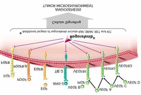 Regorafenib (Stivarga) είναι ένας αναστολέας πολυκινασών συμπεριλαμβανομένου των RET, VEGFR-1-3, KIT, PDGFR, FGFR-1 και -2, RAF, BRAF και TIE-2, και λαμβάνεται από