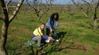 Οι Καινοτομίες του AgroStrat Ολοκληρωμένο Σχέδιο Διαχείρισης για εντατικά καλλιεργούμενες περιοχές, προκειμένου να αντιμετωπιστούν τα προβλήματα που εμφανίζονται σε αυτές είτε μεμονωμένα, είτε μέσω