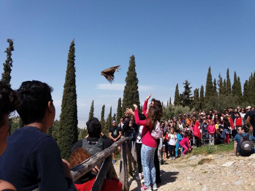 5. Απελευθέρωση Η απελευθέρωση αποτελεί το επιστέγασμα της όλης προσπάθειας και επιδιώκεται να πραγματοποιείται με τρόπο που να συμβάλει όσο το δυνατόν στην ευαισθητοποίηση των