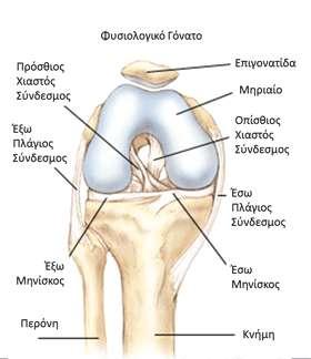 Η ρήξη των πλαγίων συνδέσμων σπανίως χειρουργείται εκτός και συνοδεύεται και από άλλες κακώσεις που καθιστούν την άρθρωση του γόνατος ιδιαίτερα ασταθή και επιρρεπή σε μεγαλύτερο τραυματισμό.