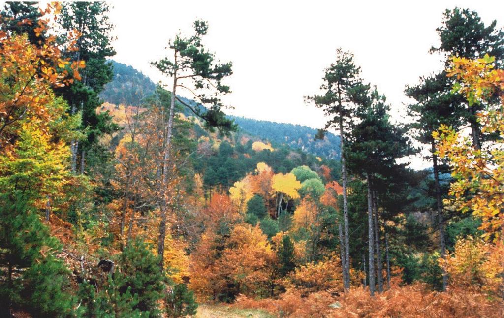 Αξιοσημείωτη ποικιλία τοπίων:το δασικό τοπίο (αειφύλλων πλατυφύλλων με κυριαρχία του πουρναριού, αμιγών και μικτών δασών