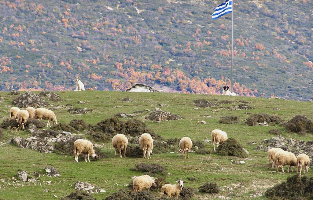 Οικιστικό τοπίο και πολιτιστικό τοπίο