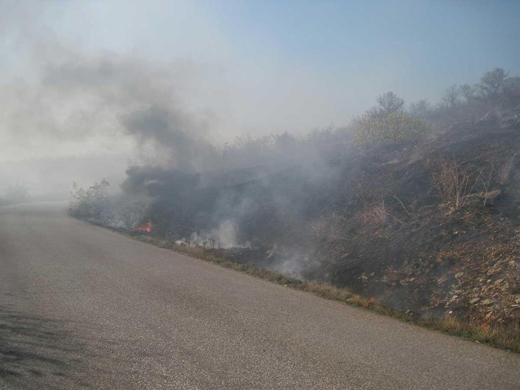 ΕΠΙΠΤΩΣΕΙΣ ΣΤΟ ΑΓΡΟΤ. ΤΟΠΙΟ Συχνά η καύση ξεφεύγει από τα όρια της ιδιοκτησίας και καίει: 1. τα φυτικά όρια των αγρών 2. Γειτονικά χωράφια 3. την παρόδια βλάστηση 4.