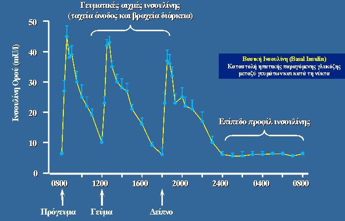 Φυσιολογικό προφίλ ινσουλίνης V.