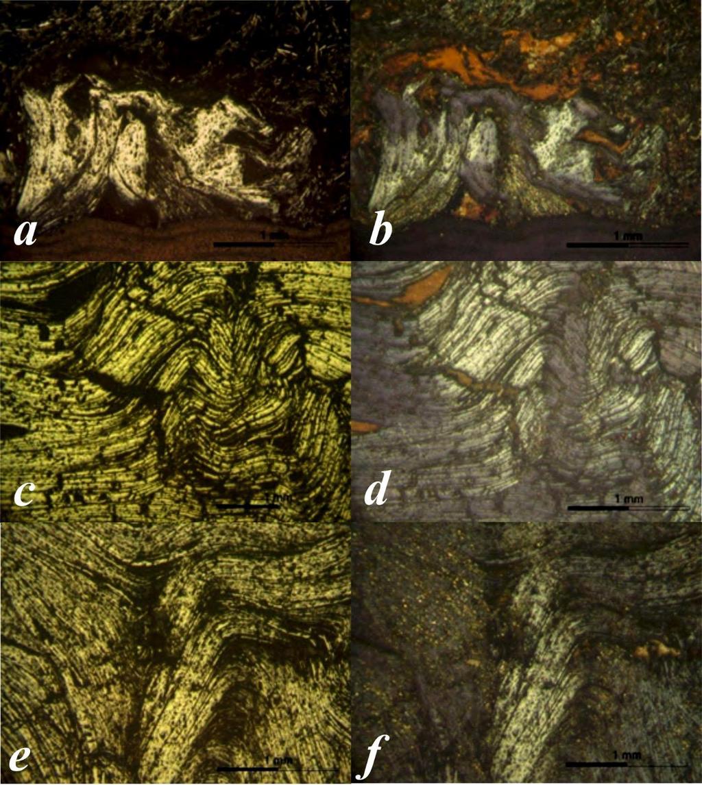 Εικόνα 6: (a), (b) Φωτομικρογραφία από τη μεταλλογραφική τομή του δείγματος Eg- 57 όπου παρουσιάζεται η μεταλλοφορία σπεκουλαρίτη στην ασβεστιτική μάζα (Αριστερά:// Nicols, Δεξιά: Nicols), (c), (d)