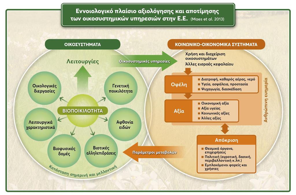 Εννοιολογικό πλαίσιο αξιολόγησης και αποτίμησης των οικοσυστημικών υπηρεσιών