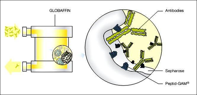 Immunosorba PH Selesorb Immunosorba