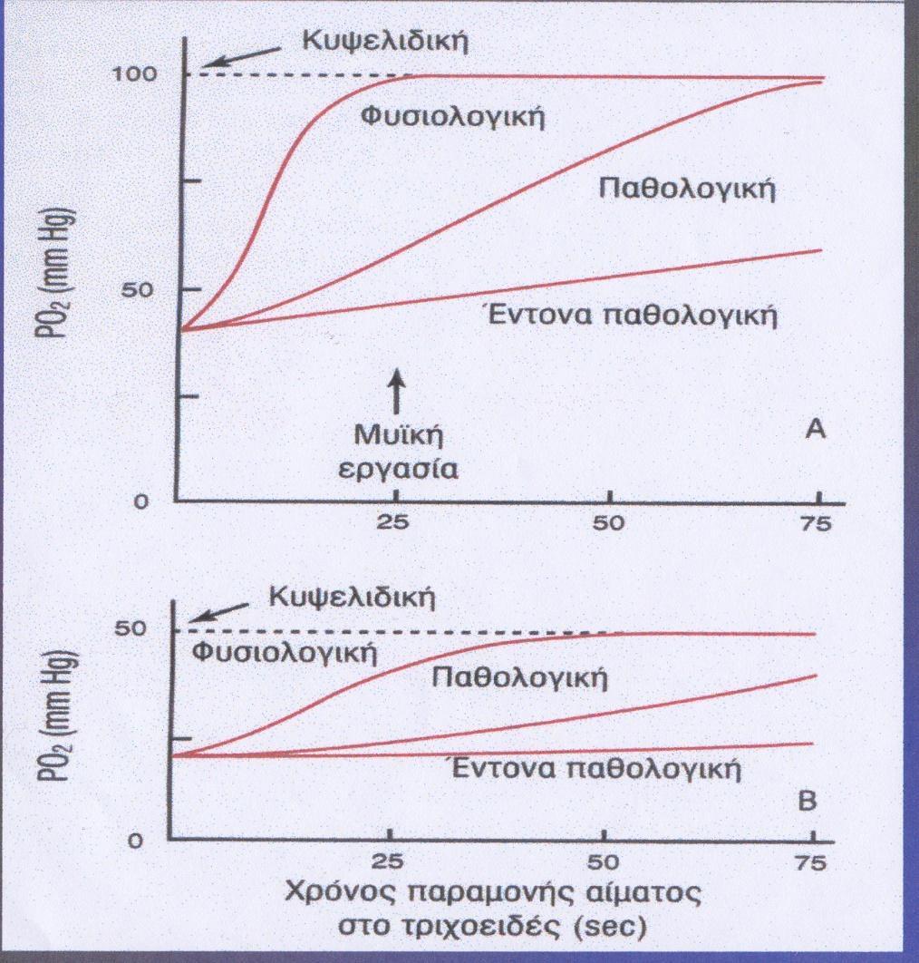 Υποξαιμική Αναπνευστική