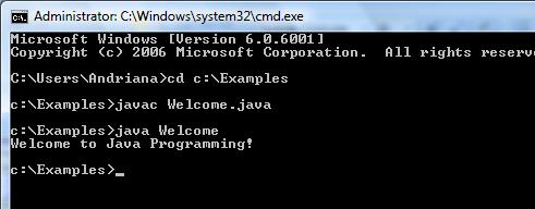 You type this command to execute the application The program outputs Welcome to Java Programming!