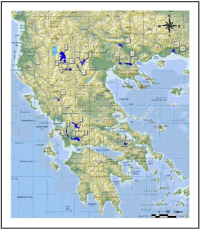 N/P ratios in major Greek Lakes Most of the lakes are eutrophic. The lakes show lower nutrient levels than major rivers (1-fold lowerdin and 4-fold lowersrplevels).