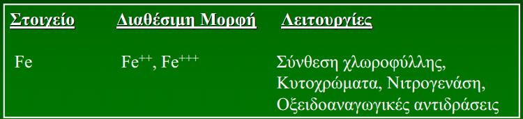 ΦΩΤΟΣΥΝΘΕΣΗ