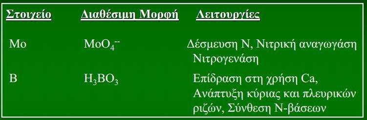 ΑΠΟΡΡΟΦΗΣΗ ΑΖΩΤΟΥ ΑΝΘΙΣΗ -