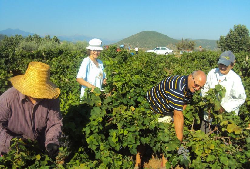 με προσθήκη μικρής ποσότητος καθαρού οινοπνεύματος.