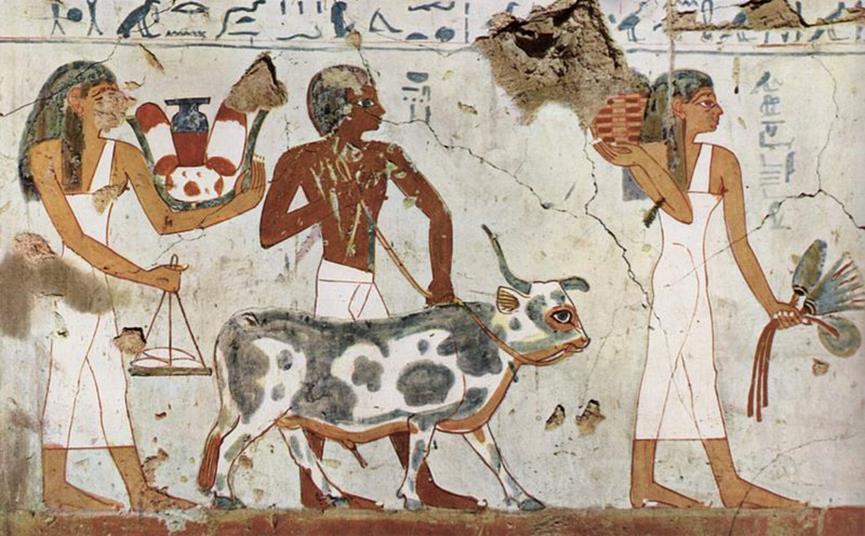 ΔΙΑΤΡΟΦΗ ΣΤΗΝ ΑΡΧΑΙΑ ΑΙΓΥΠΤΟ ΓΑΛΑΚΤΟΚΟΜΙΚΑ ΠΡΟΙΟΝΤΑ Παρόλο που δεν υπάρχουν πολλά στοιχεία για το γάλα, το τυρί και το βούτυρο πιστεύεται πως οι αρχαίοι Αιγύπτιοι ήταν εξοικειωμένοι με τα